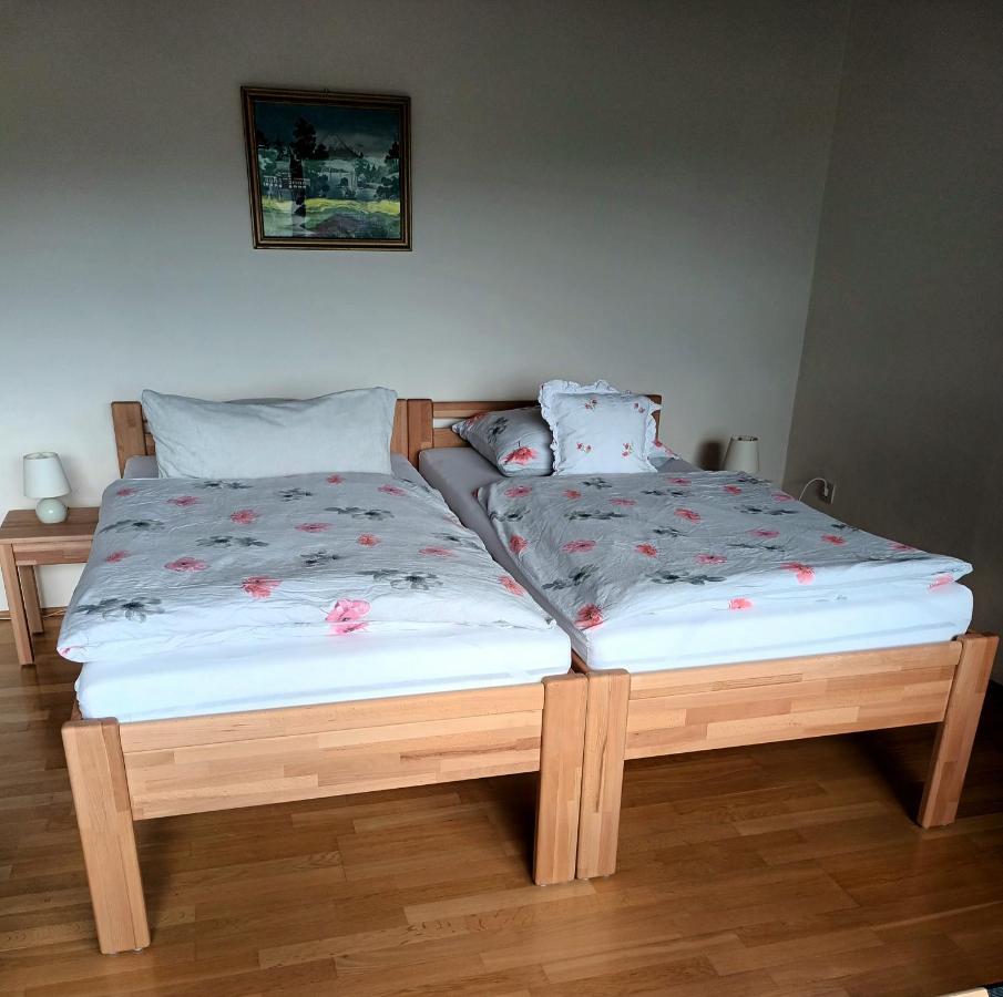 Buedingen-Ferienwohnung Bausch Eksteriør bilde